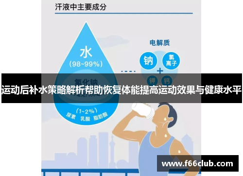 运动后补水策略解析帮助恢复体能提高运动效果与健康水平