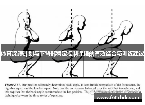 体育深蹲计划与下背部稳定控制课程的有效结合与训练建议