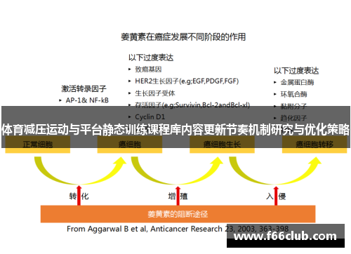 体育减压运动与平台静态训练课程库内容更新节奏机制研究与优化策略